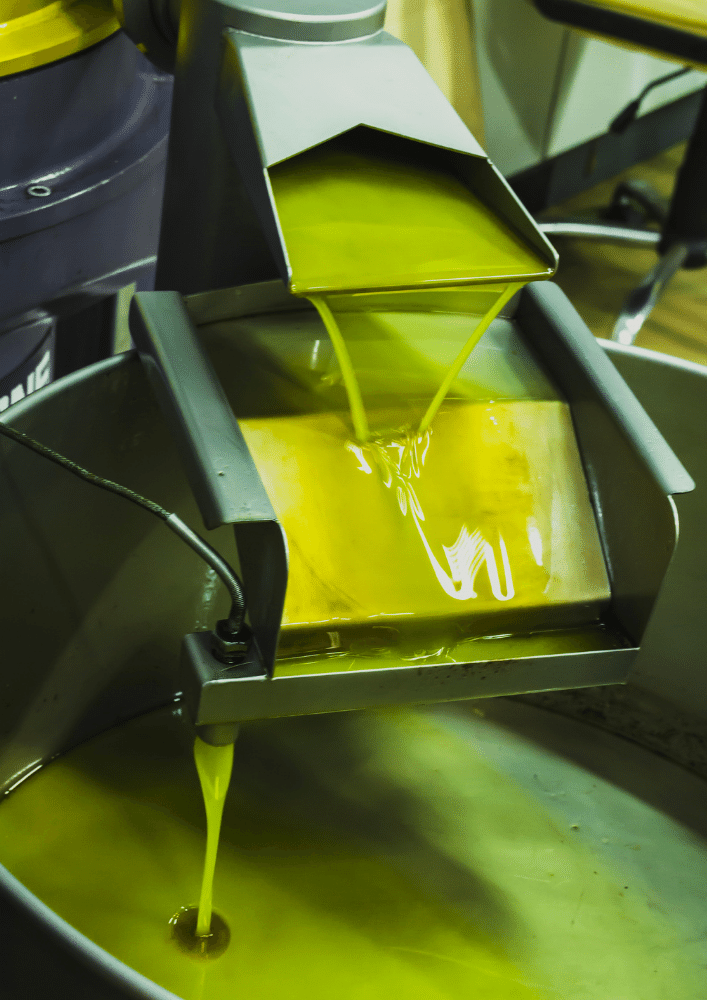Olive oil production