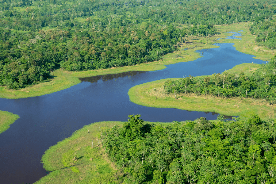 amazon-rainforest deforestazione