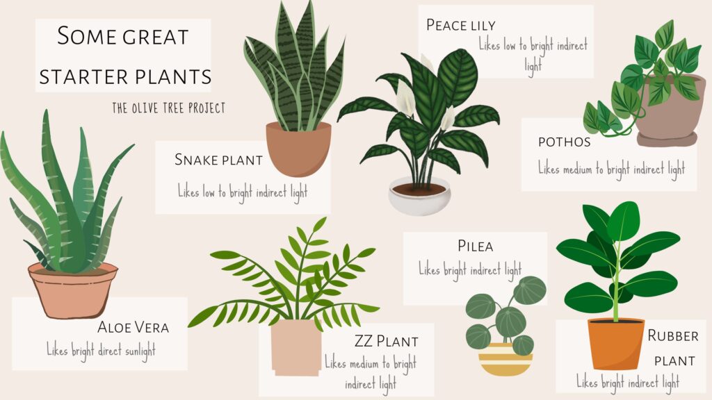 plant guide