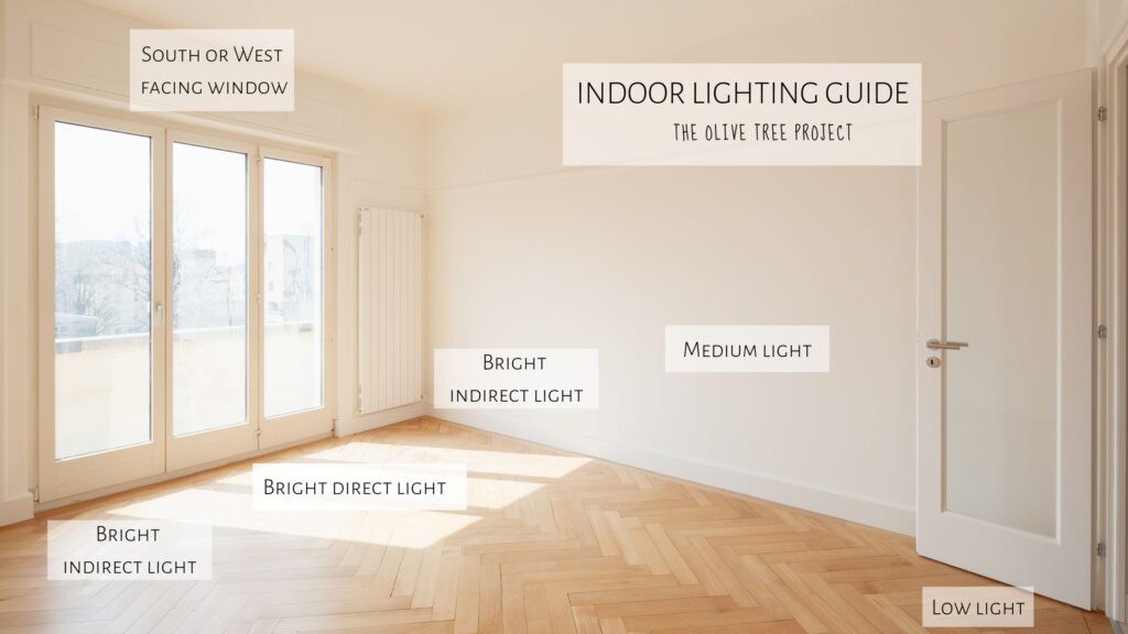 lighting guide